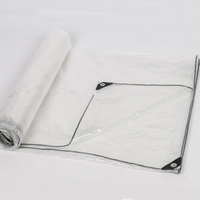 Anti-aging PE Tarpaulin Fire Retardant Rated (FR) Scaffolding Sheeting